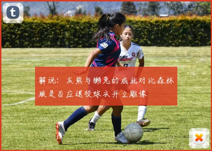 解说：灰熊与獭兔的成就对比森林狼是否应退役球衣并立雕像
